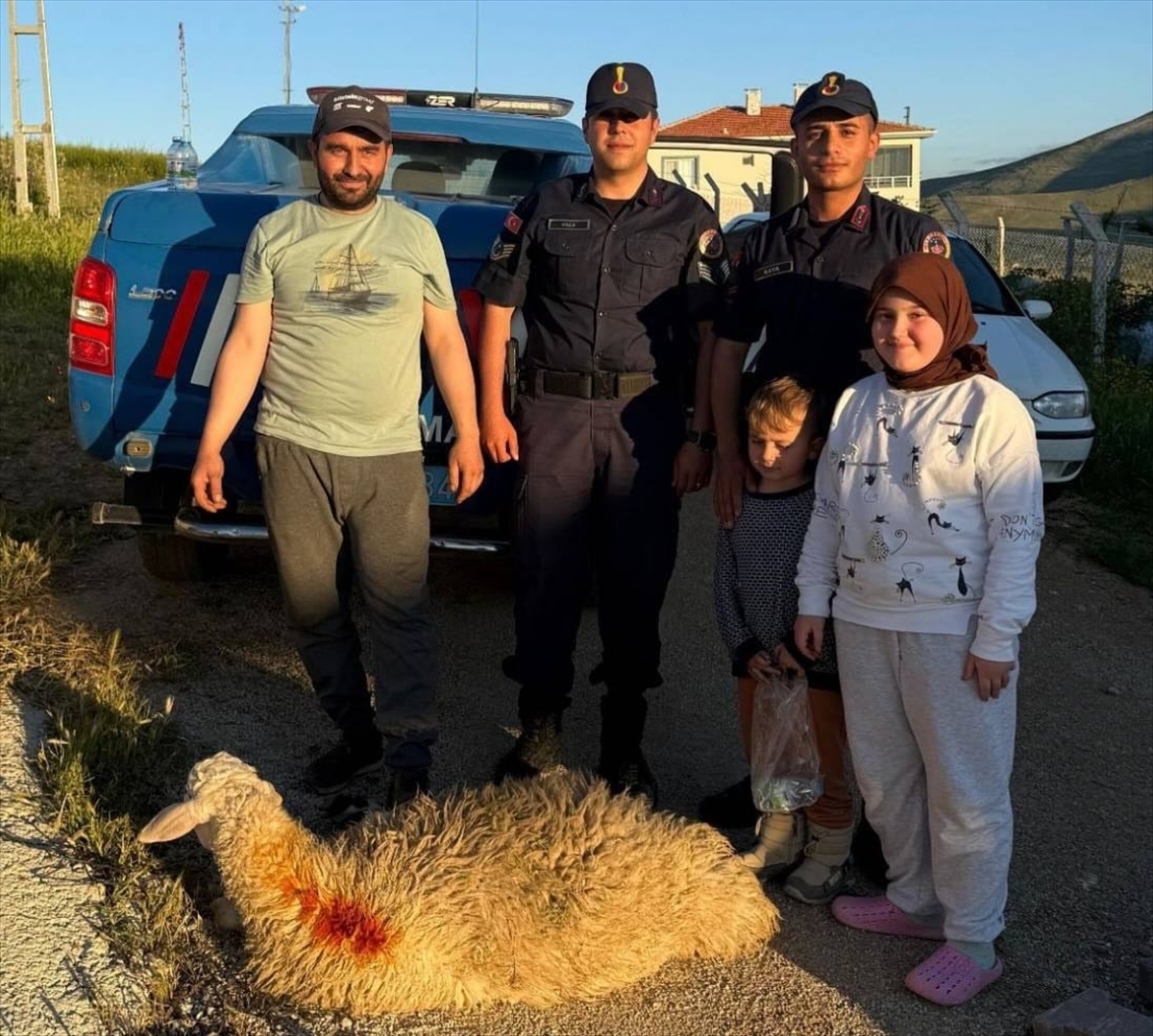Kırşehir’de kaçan kurbanlık koyunu jandarma yakaladı