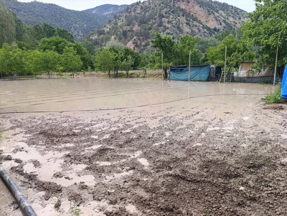 Nallıhan'da sağanağın ardından çayın taşması sonucu bazı bahçeleri su bastı