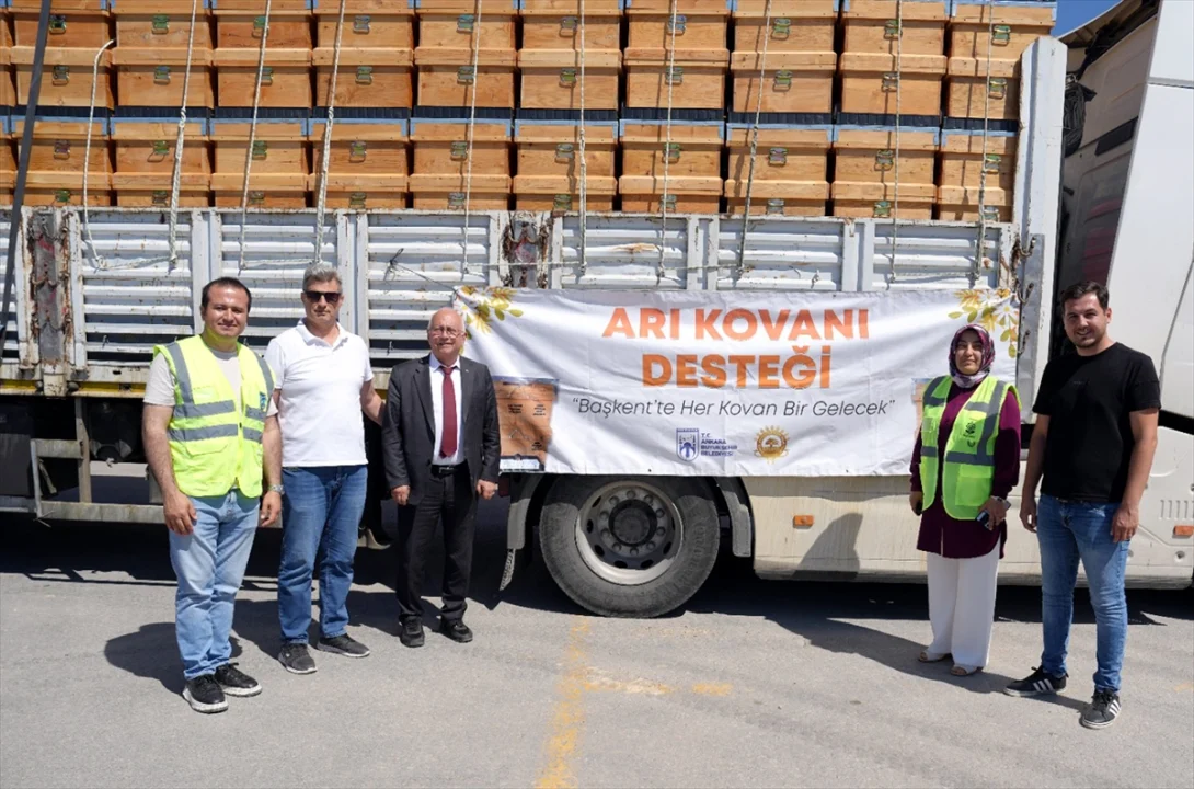 Beypazarı'nda arıcılara kovan desteği