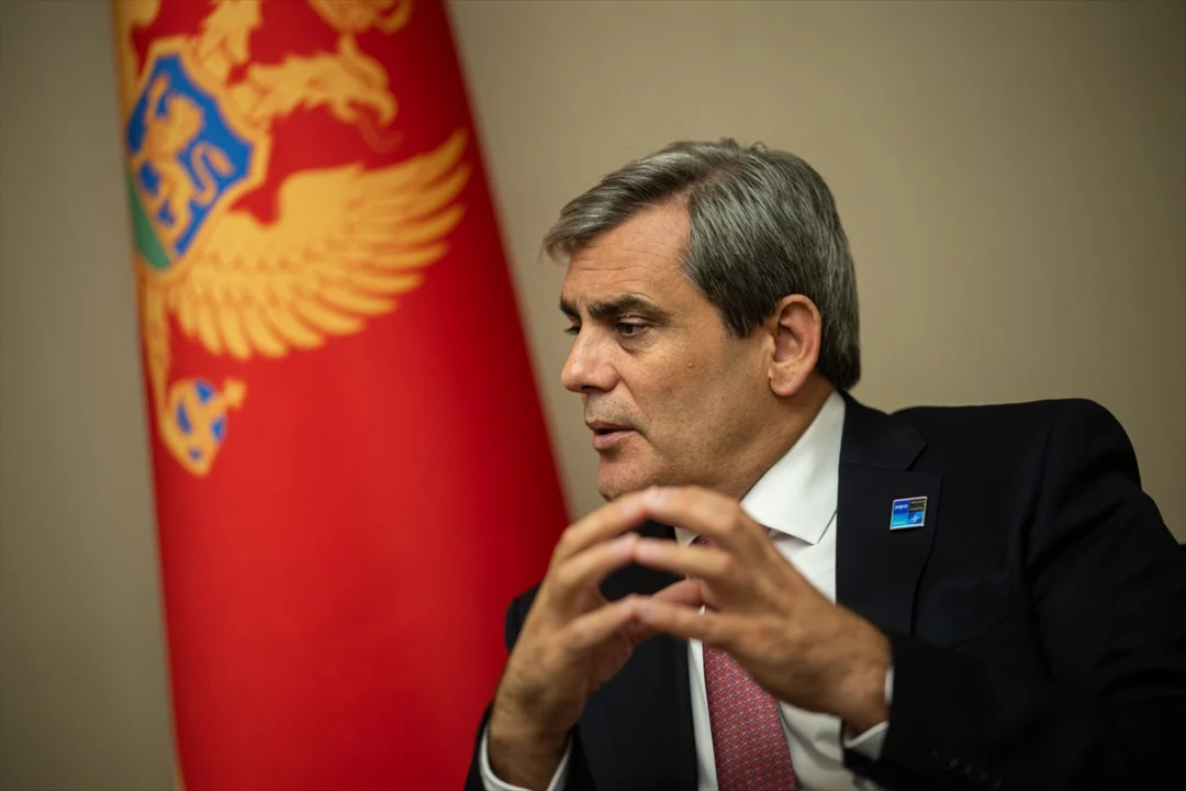 NATO ANKARA ZİRVESİ - Karadağ Dışişleri Bakanı İbrahimovic, zirvenin çok doğru bir zaman ve ülkede yapıldığını söyledi
