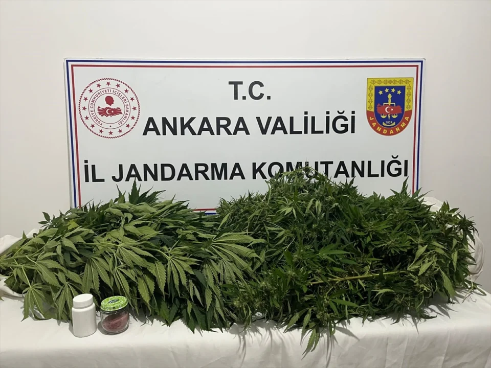 Haymana'daki uyuşturucu operasyonunda 1 şüpheli yakalandı