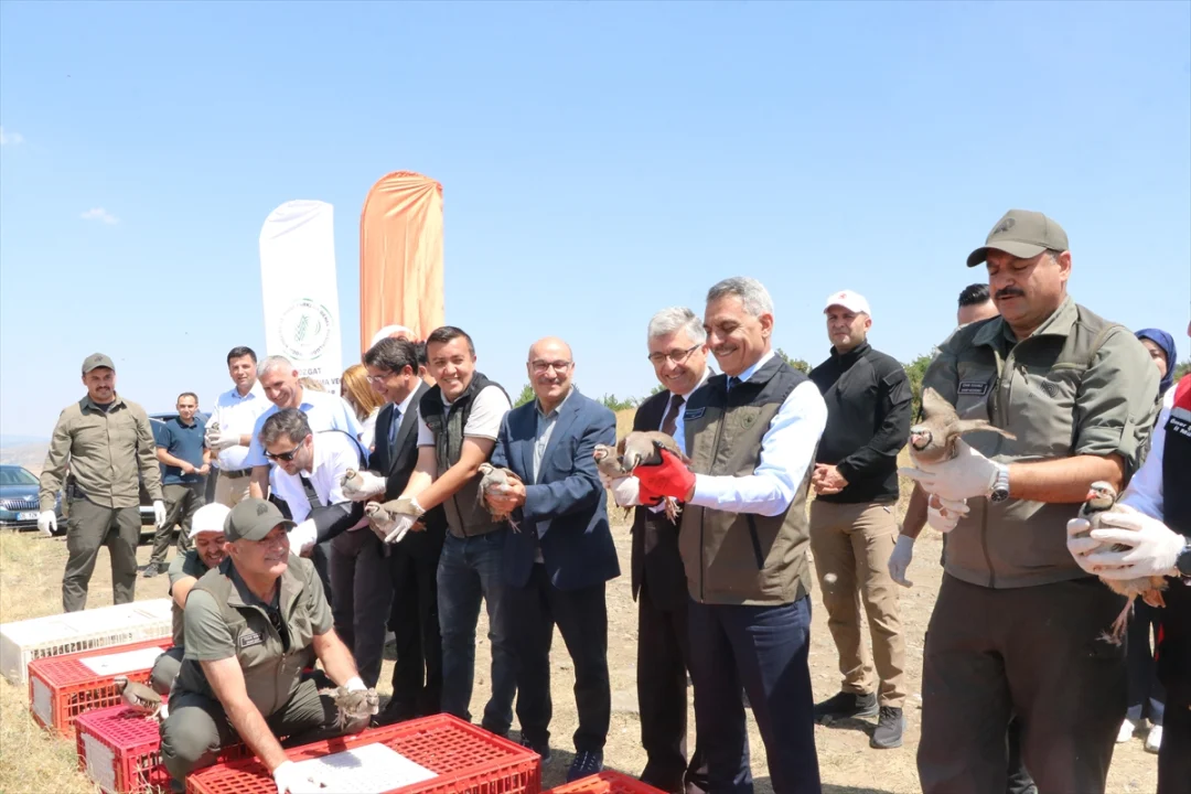 Yozgat'ta doğaya 1000 kınalı keklik bırakıldı