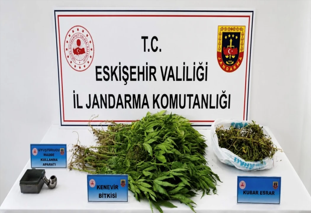 Eskişehir'de uyuşturucu operasyonunda yakalanan zanlı tutuklandı
