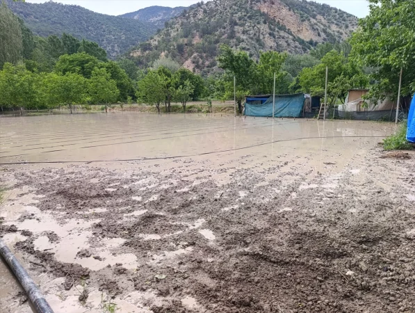 Nallıhan'da sağanağın ardından çayın taşması sonucu bazı bahçeleri su bastı