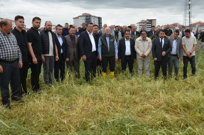 TZOB Genel Başkanı Bayraktar, Kahramankazan'da zarar gören tarım arazilerinde incelemede bulundu