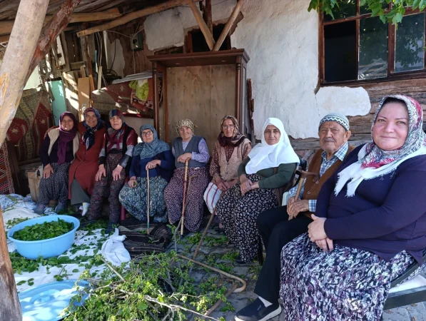 Nallıhan ilçesinde ipek böcekçiliği geleneği sürdürülüyor