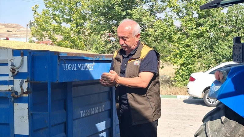 Ankara'nın ilçelerinde TMO'nun hububat alımı sürüyor