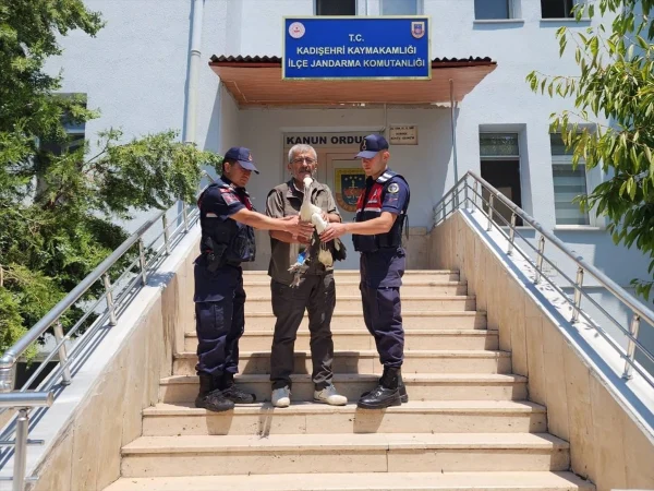 Yozgat'ta yaralı leyleği jandarma kurtardı