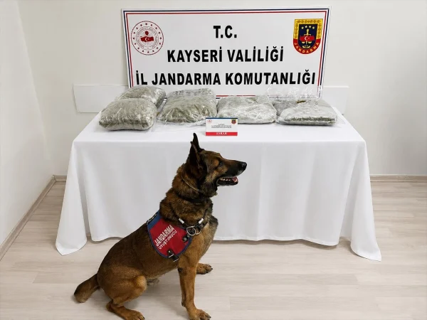 Kayseri'de uyuşturucu operasyonunda 5 kilogram esrar ele geçirildi