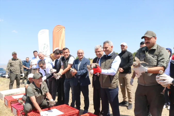 Yozgat'ta doğaya 1000 kınalı keklik bırakıldı