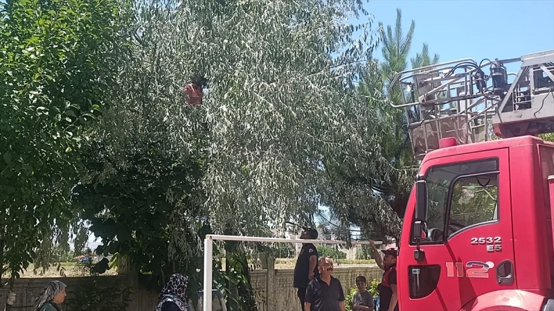 Sivas'ta çıktığı ağaçta mahsur kalan otizmli çocuk itfaiye ekiplerince kurtarıldı